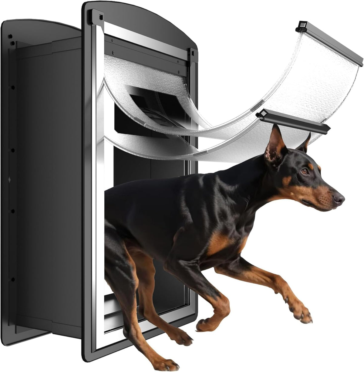 ClawJaw Small Exterior Wall Steel Cat Door for Wall – Essentials for Cats - Black / X-Large
