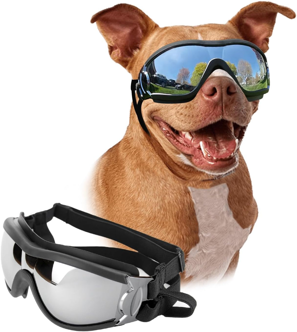 Dog Goggles for Large Breeds - Black L