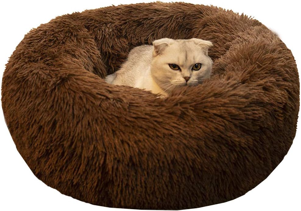 Cat Bed for Indoor Cats, Mini Plush Self Warming Kitten Bed - Small 20'' / Chocolate