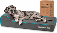 The Dog’s Bed Orthopedic Memory Foam Dog Bed with Headrest XL 6-Inch – Essentials for Dogs - Grey with Blue Trim / XXL (54"L x 36"W x 6"Th)
