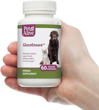 PetAlive GlucoEnsure - All Natural Herbal Supplement for Maintaining Blood Sugar (Glucose) Levels Already in The Normal Range in Pets