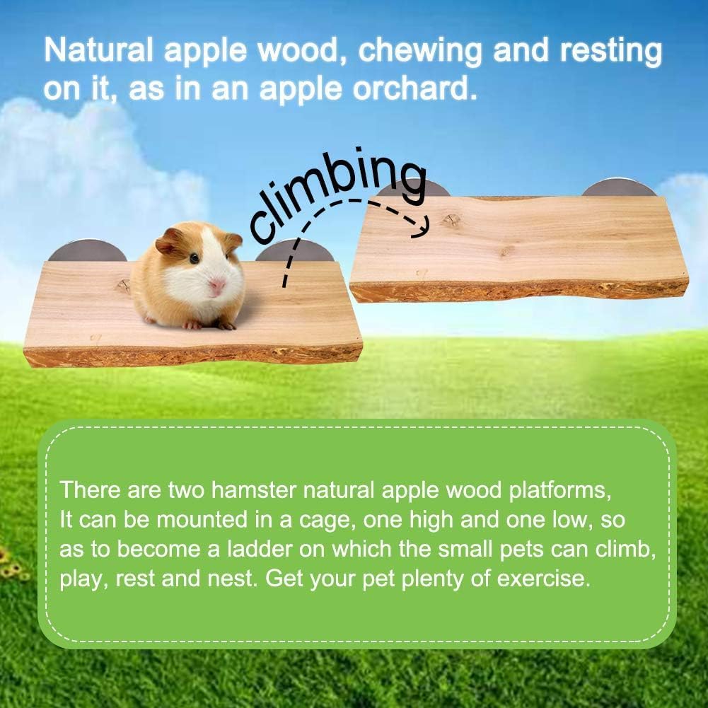 2Pcs Chinchilla Wood Ledge Hamster Wooden Flexible Platform Perch - 6 × 2.6 inch - image 4