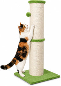 PAWSCRAT 32-Inch Tall Cat Scratching Post, Sisal - X-Large / Green