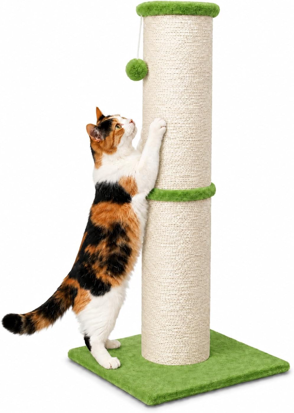 PAWSCRAT 32-Inch Tall Cat Scratching Post, Sisal - X-Large / Green