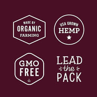 Hemp Well Organic Hemp Hearts –Reduces Feather Plucking, Promotes Relaxation, Immune Support, Organically Sourced, USA Grown, GMO Free – 1 Pound Bag
