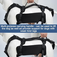 Coodeo Dog Lift Harness, Support & Recovery Sling, Pet Rehabilitation Lifts Vest Adjustable Breathable Straps for Old, Disabled, Joint Injuries, Arthritis, Paralysis Dogs Walk (Black,XL)
