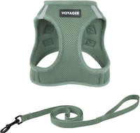 Voyager Step-in Air Cat Harness & Leash Set, XS - Moss Green / XS (Chest: 13.5 - 15")