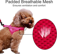 Plutus Pet No Pull Dog Harness with Front Clip - XL: chest 29.5"-39.4" / Pink - image 3