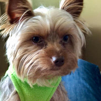 Gooby Stretch Fleece Vest Dog Sweater - Small Length (9") / Grass Green - image 2