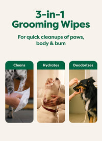 Earth Rated Dog Wipes for Paws & Butt, Deodorizing - Lavender / 100 Grooming Wipes - image 4