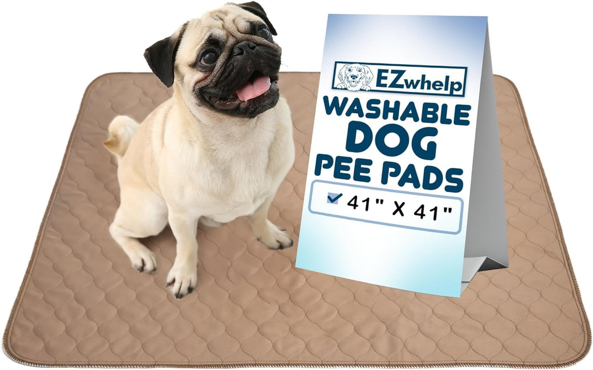 Washable Dog Training Pads, Reusable Waterproof Whelping - 41x41 Inch (Pack of 1, Grommeted)
