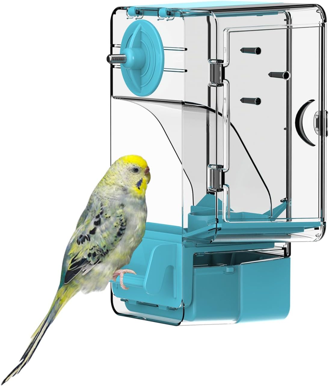 Automatic Bird Feeder, Bird Cage Feeder with Perch Multi-Functional Holder for Fruits Vegetables - Blue