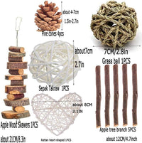 ANDES Rabbit Chew Toys, Pet Bunny Tooth Chew Toys Organic Natural Apple Wood Grass Cake Ideal - 13PCS - image 2