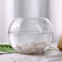 DomeStar 2.7lb White River Rocks, Polished Pebbles Decorative White Stones for Landscaping Vase Filler Fish Tank Aquariums Garden Outdoor and Indoor DIY