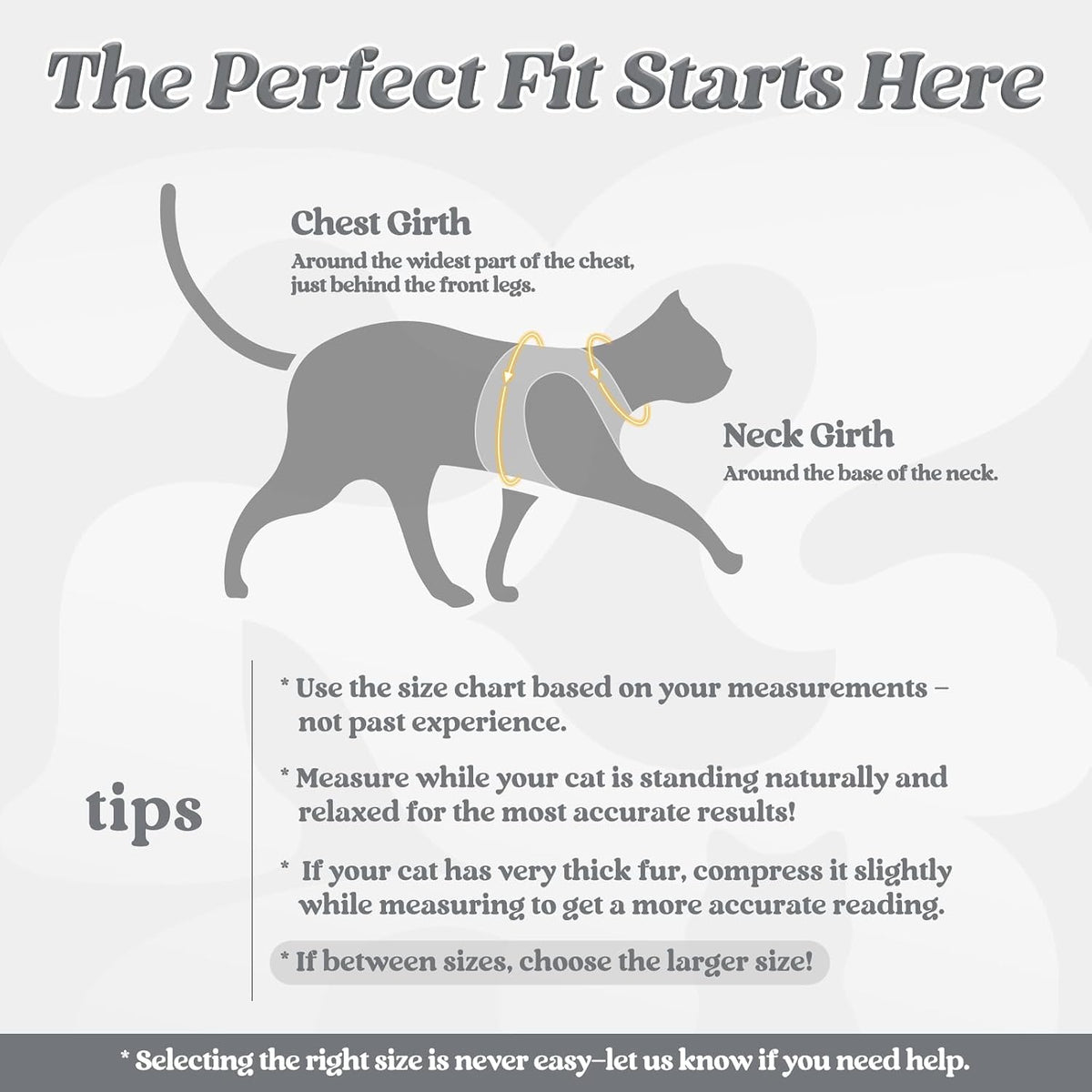 rabbitgoo Cat Harness and Leash Set, Step-in Soft Vest - S / Grey - image 2