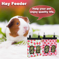 DZWLKJ 2 Pack Hay Feeders, Guinea Pig Rabbit Hay Feeder - (Watermelon+Strawberry) 2pack / S -10"x 8"x 0.4" - image 4