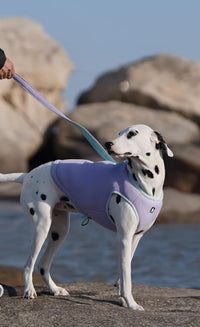 JUXZH Dog Cooling Vest, Evaporative Cooling Jacket Orange - Purple / XX-Large (Chest 32.7-39.8") - image 3