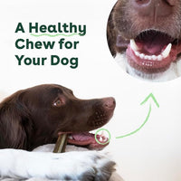 Pupford Dental Chews for Dogs, All-Natural 4-Inch Sticks for Plaque, Tartar & Bad Breath, Grooved Texture, Limited Ingredients, Made in USA (14 Count)