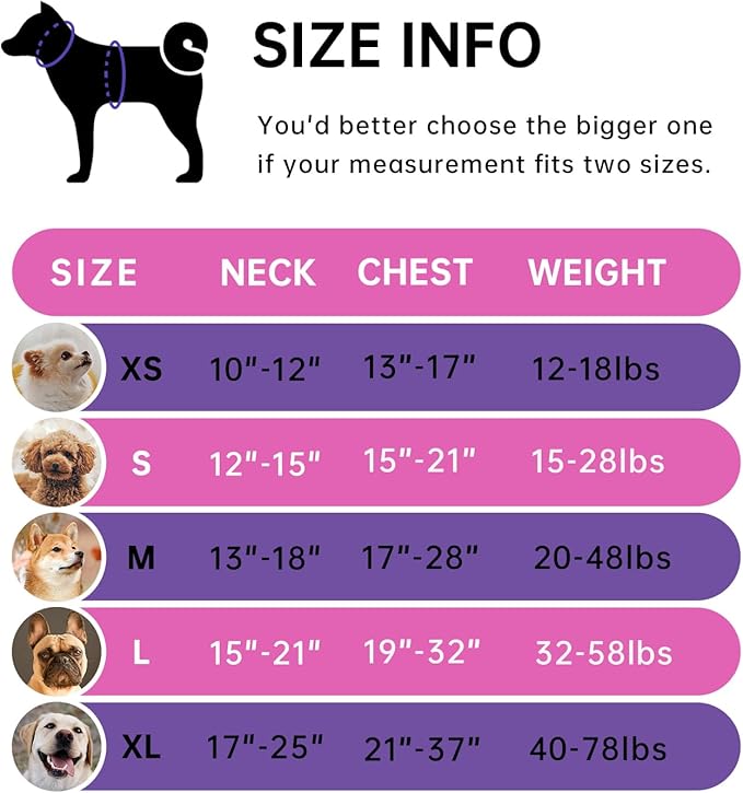 IVY&LANE No Pull Dog Harness for Medium Dogs,Dog Vest Harness with Leash,Safety Belt and Storage Strap, Fully Adjustable Harness,360° Reflective Strip,Soft Handle (Fuchsia Pink,M)