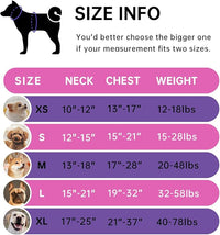 IVY&LANE No Pull Dog Harness for Small Dogs, Dog Vest Harness with Leash, Safety Belt and Storage Strap, Fully Adjustable Harness, 360° Reflective Strip, Soft Handle (Fuchsia Pink,S)