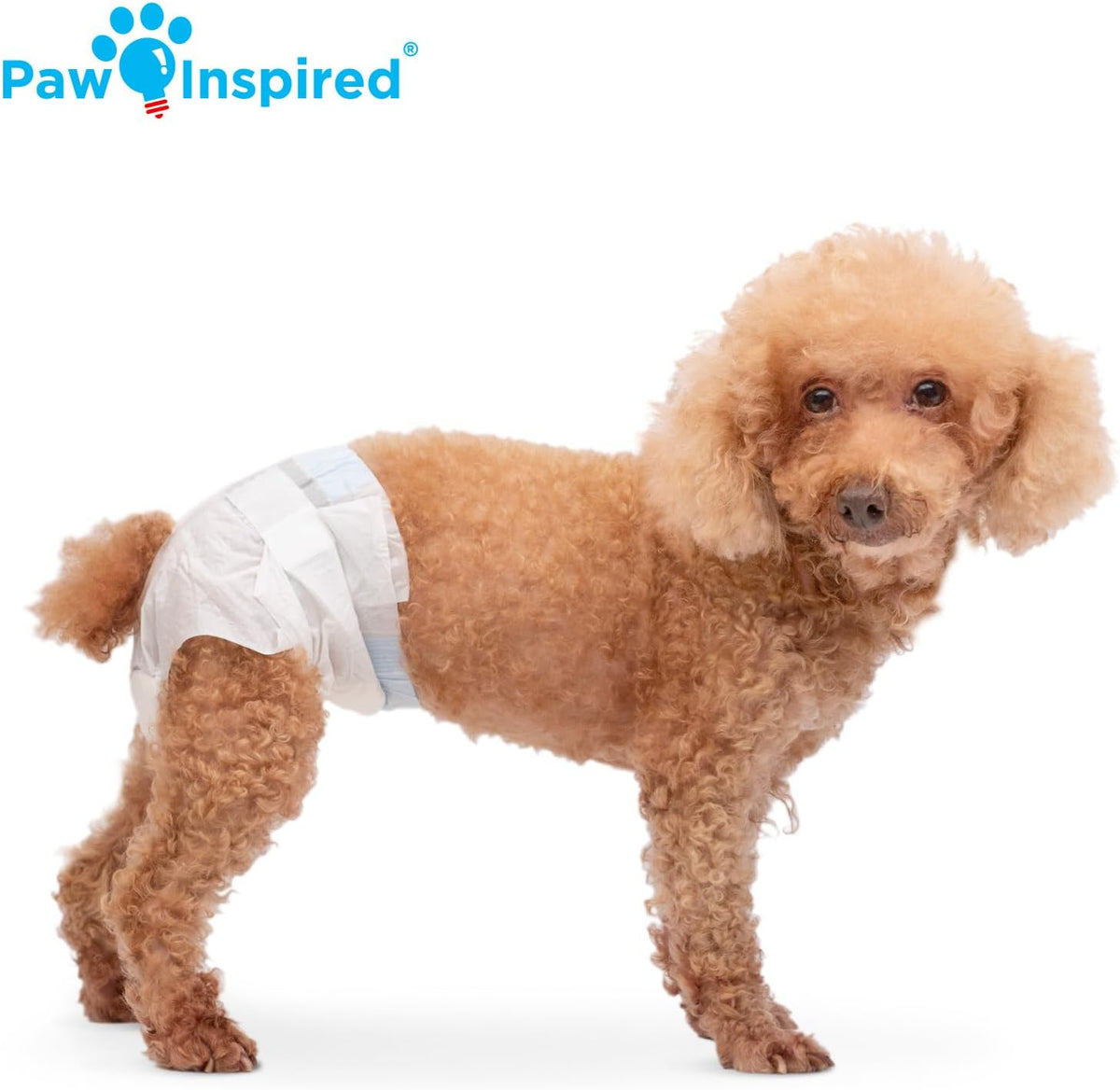 Paw Inspired 32ct Disposable Dog Diapers - Small (32 Count) - image 2