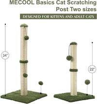 MECOOL Cat Scratching Post Premium Basics Kitten Scratcher Sisal Scratch Posts with Hanging Ball 22in for Kittens or Smaller Cats, Cactus Green