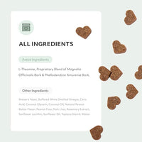 Reggie Anytime Calming Chews for Dogs | Natural Calming Dog Treats to Reduce Hyperactivity, Separation Anxiety, & Stress | Vet-Approved & Ideal for All Ages, Breeds, and Sizes (120 Count)