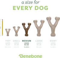 Benebone Medium 3-Pack, Wishbone Durable Dog Chew Toy for Aggressive Chewers, Real Bacon, Chicken, Peanut Butter, Made in USA, Variety Pack
