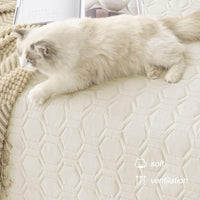 Tcksstex Waterproof Blanket Couch Cover for Dogs Pet Bed Protector – Essentials for Dogs - Ivory / 52x82Inch (Pack of 1) - image 3