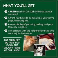 Organic Catnip by Cat Kush, Safe Premium Blend Perfect for Cats, Instilled with Maximized Potency your Kitty is Guaranteed to Go Crazy for! (1 Cup)
