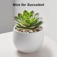 Succulent Rocks,Virekm River Rocks, Decorative Ornamental Pebbles Garden Landscaping Stones Gravel Filler for Home Decoration Flower Bed Fish Tank Plants Vases Succulents