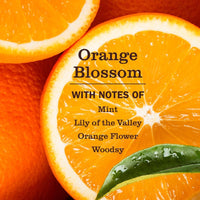 Mrs. MEYER'S CLEAN DAY Pet Stain & Odor Fighter - Orange Blossom / 16 Fl Oz (Pack of 1) - image 3