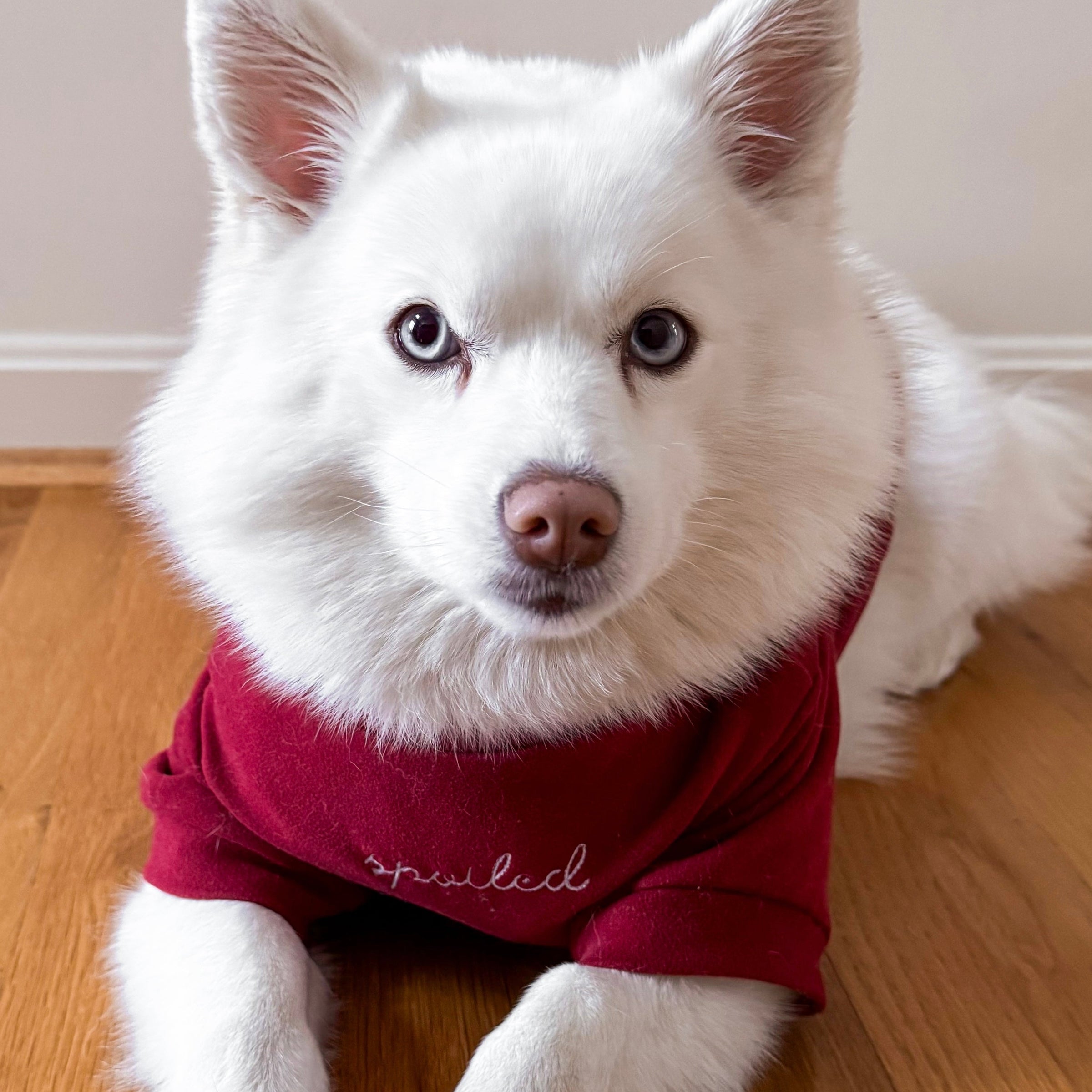 “Spoiled” Mock Neck Shirt - Lucky in Love