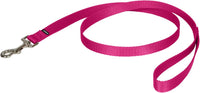 PetSafe Nylon Dog Leash, Strong, Durable - 3/4 in. x 4 ft. / Purple