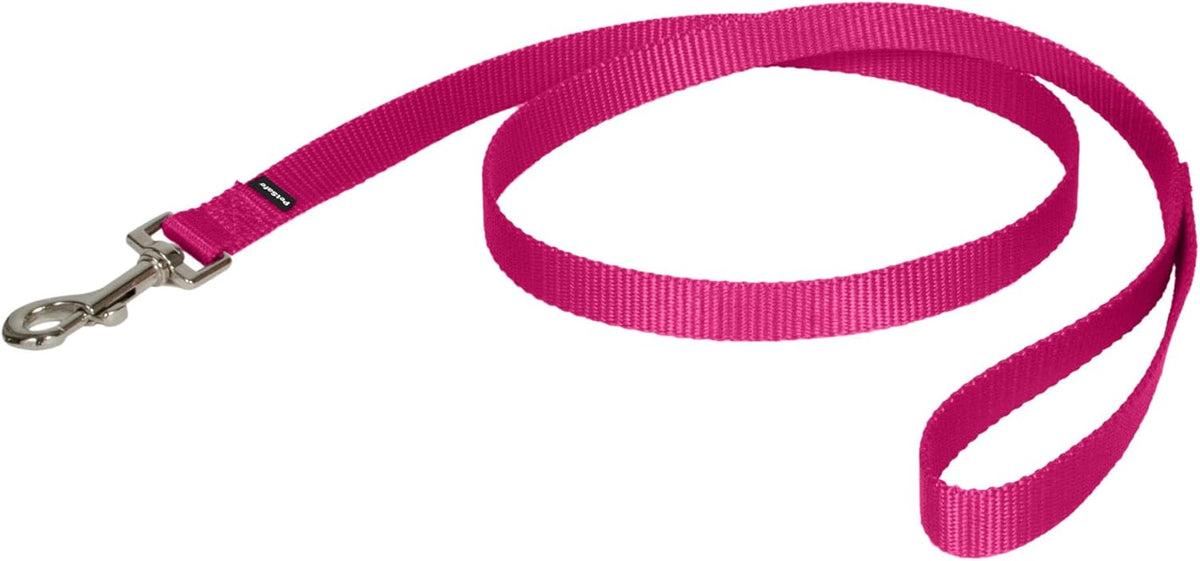 PetSafe Nylon Dog Leash, Strong, Durable - 3/4 in. x 4 ft. / Purple
