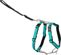 PetSafe 3 in 1 No-Pull Dog Harness, Walk, Train or Travel - Teal / Small (Pack of 1)