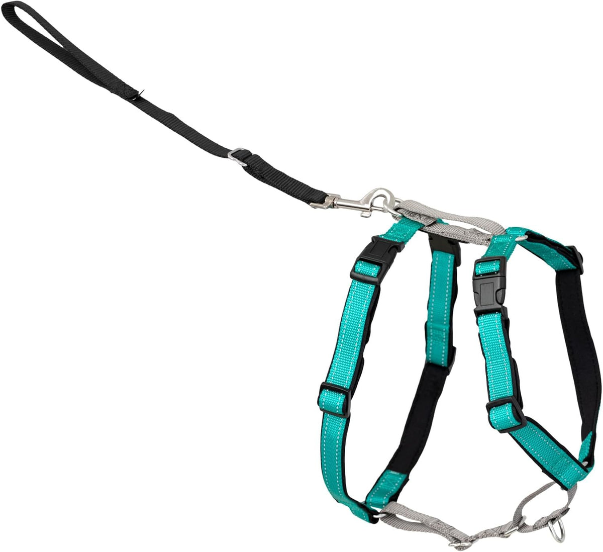PetSafe 3 in 1 No-Pull Dog Harness, Walk, Train or Travel - Teal / Small (Pack of 1)