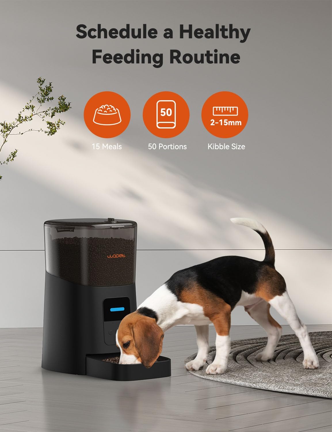 WOPET 6L Automatic Cat Feeder - Black - image 3