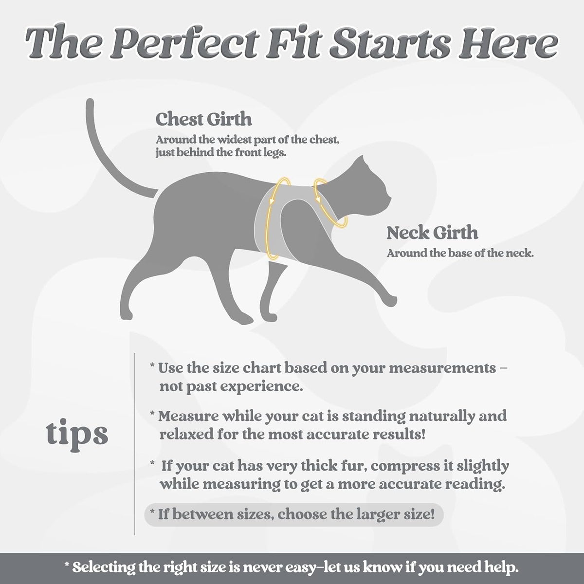 rabbitgoo Cat Harness and Leash Set, Step-in Soft Vest - M / Grey - image 2