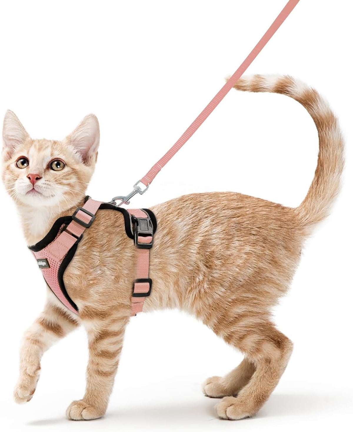 rabbitgoo Cat Harness and Leash Set, Escape Proof Vest - S / Light Salmon Pink