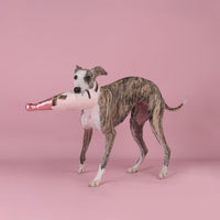 CHEWFFON Dog Toy, Interactive Champagne Shape Squeaky Toy for Boredom – Essentials for Dogs - Pink Champagne Bottle - image 4