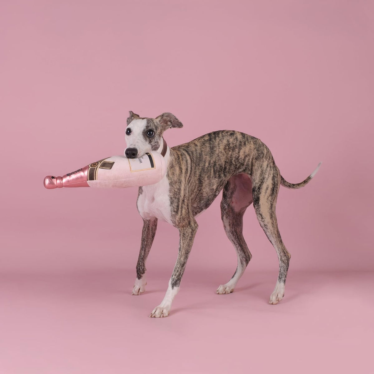 CHEWFFON Dog Toy, Interactive Champagne Shape Squeaky Toy for Boredom – Essentials for Dogs - Pink Champagne Bottle - image 4