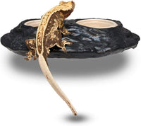 Pangea Ultimate Gecko Ledge, Magnetic Feeder for Crested Geckos - image 2