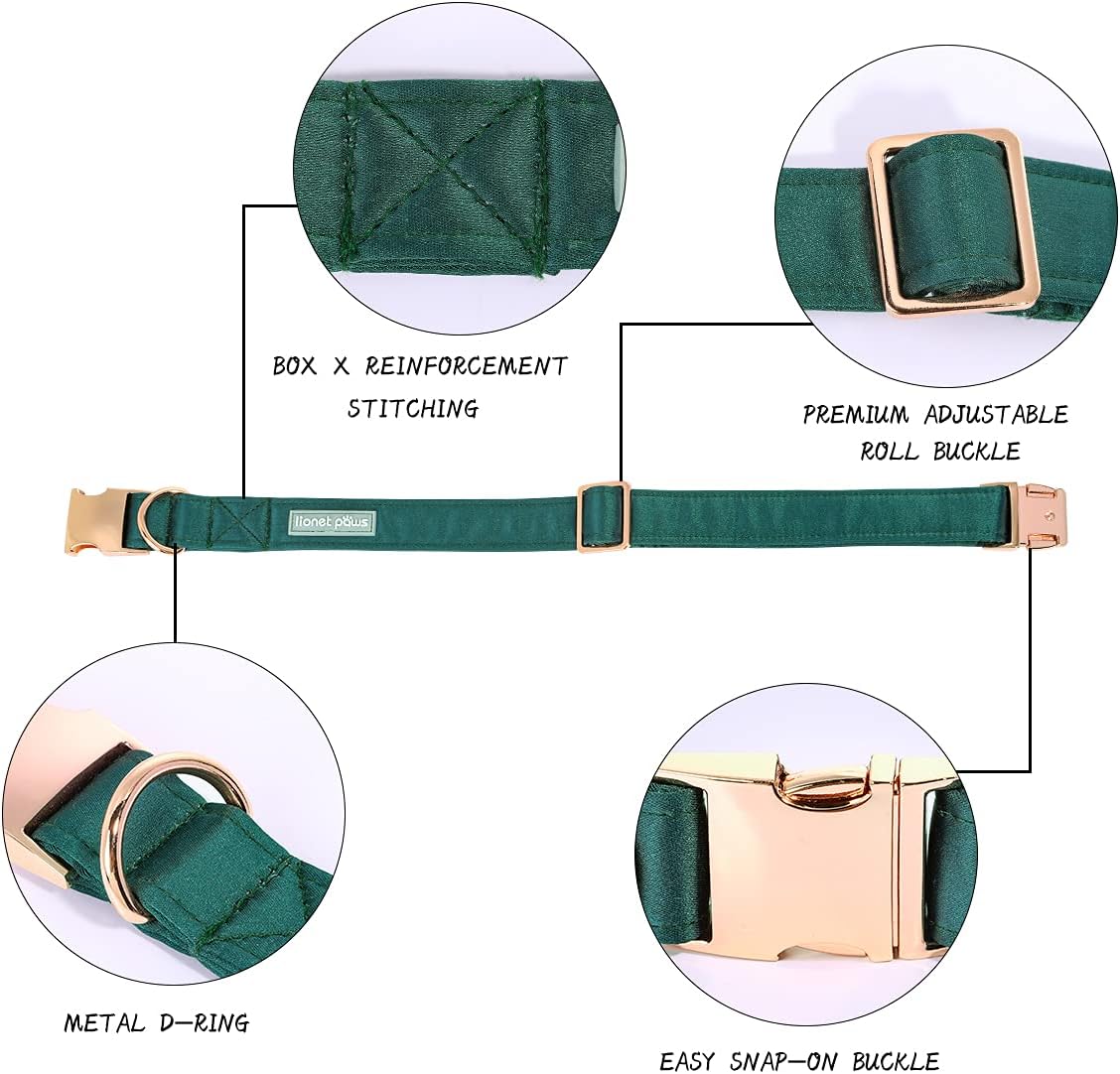 Lionet Paws Bowtie Dog Collar - X-Large (Pack of 1) / Black Green - image 2
