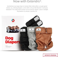 Pet Parents® Washable Dog Diapers (3pack) + Extendrs® of Durable Doggie Diapers, Premium Dog Diapers Female (Medium, Natural)