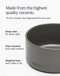 Fable Pets Ceramic Dog Bowl and Cat Dish - M/L/XL / Tofu - image 4