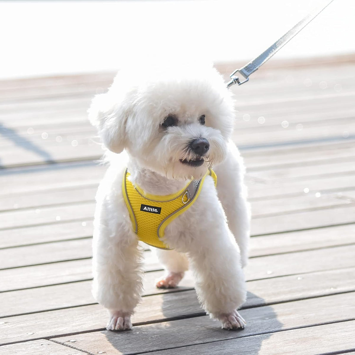 AIITLE Small Dog Harness and Leash Set, Step-in Puppy Pet Vest - S(Chest: 13.5 - 16") / Yellow - image 3