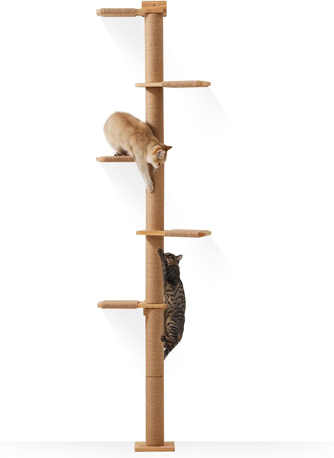 FUKUMARU Wall-Mounted Cat Tree for Small & Medium Cats – Essentials for Cats