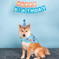 Dog Birthday Party Supplies – Premium Bandana & Hat Set for Dogs - BIG FRENCHIES