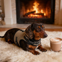 Mini Dachshund Harness, No Armpit Rub, Escape Proof, Reflective - Khaki / M: Chest 42-52cm (16.5"-20.5") - image 3